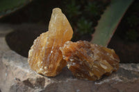 Natural Honey Aragonite Etched & Cobbed Pieces  x 12 From Namibia