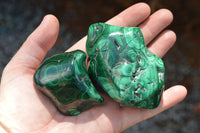 Polished Malachite Free Forms With Stunning Flower & Banding Patterns x 6 From Congo - TopRock