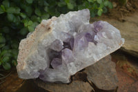 Natural Jacaranda Amethyst Cluster  x 1 From Zambia - Toprock Gemstones and Minerals 