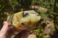 Polished Septaria (Yellow Calcite & Aragonite) Points x 2 From Mahajanga, Madagascar - TopRock