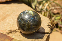 Polished Labradorite Spheres With Nice Subtle Flash x 7 From Tulear, Madagascar - TopRock