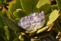 Natural Deep Mini Jacaranda Purple Amethyst Clusters  x 45 From Zambia - TopRock