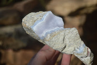 Natural Blue Lace Agate Geode Specimens x 4 From Nsanje, Malawi