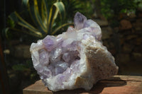 Natural Jacaranda Amethyst Cluster x 1 From Mumbwa, Zambia - TopRock