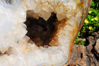 Polished Extra Large Crystal Cantered Agate Geode x 1 From Madagascar