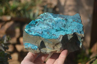 Natural Silica Chrysocolla On Dolomite Matrix Specimens x 2 From Congo