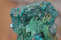 Natural Classic Emerald Dioptase Crystal Specimens  x 2 From Likasi, Congo