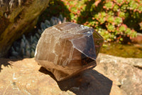 Natural Smokey Quartz Crystal With Natural Sides  x 2 From Mt. Mulanje, Malawi - TopRock