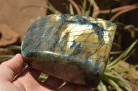 Polished Labradorite Standing Free Forms With Intense Blue & Gold Flash x 2 From Sakoany, Madagascar - TopRock