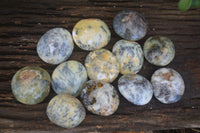 Polished Dendritic Green Opal Palm Stones  x 12 From Madagascar - Toprock Gemstones and Minerals 