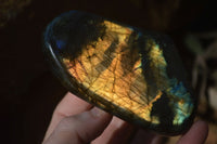 Polished Labradorite Standing Free Forms  x 6 From Madagascar