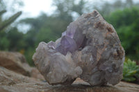 Natural Jacaranda Amethyst Cluster x 1 From Mumbwa, Zambia - TopRock