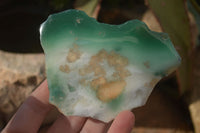 Polished One Side Polished Emerald Mtorolite Plates  x 6 From Zimbabwe