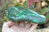 Polished Malachite Free Forms With Stunning Flower & Banding Patterns x 2 From Congo - TopRock