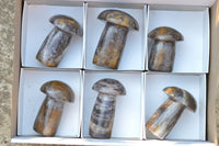 Polished Lithium Mica Mushroom Carvings  x 6 From Zimbabwe - TopRock