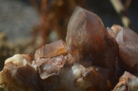 Natural Red Hematoid Quartz Specimen x 1 From Karoi, Zimbabwe