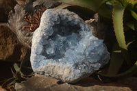 Natural Large Blue Celestite Geode Specimen  x 1 From Sakoany, Madagascar