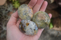 Polished Dendritic Green Opal Palm Stones  x 12 From Madagascar - Toprock Gemstones and Minerals 