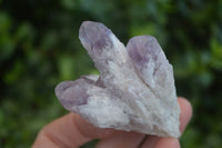 Natural Sugar Amethyst Clusters  x 12 From Solwezi, Zambia - Toprock Gemstones and Minerals 