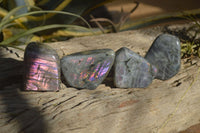 Polished Rare Purple Flash Labradorite Standing Free Forms x 4 From Tulear, Madagascar