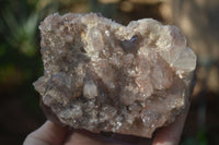 Natural Red Hematoid Quartz Specimens x 3 From Karoi, Zimbabwe