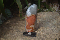 Polished Large Polychrome Jasper Standing Free Form  x 1 From Madagascar