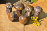 Polished Lithium Mica Mushroom Carvings  x 6 From Zimbabwe - TopRock