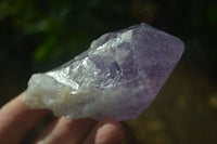 Natural Single Jacaranda Amethyst Crystals  x 12 From Mumbwe, Zambia - Toprock Gemstones and Minerals 