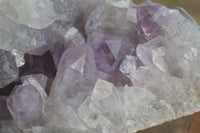 Natural Jacaranda Amethyst Cluster  x 1 From Zambia - Toprock Gemstones and Minerals 