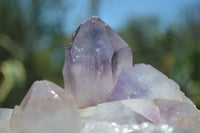 Natural Jacaranda Amethyst Cluster x 1 From Mumbwa, Zambia - TopRock