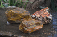 Natural Rough Nguni Jasper Specimens  x 3 From Northern Cape, South Africa - Toprock Gemstones and Minerals 