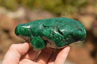 Polished Malachite Free Forms With Stunning Flower & Banding Patterns x 6 From Congo - TopRock