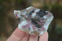 Polished Rough Rubellite Pink Tourmaline In Matrix Specimens  x 22 From Madagascar - Toprock Gemstones and Minerals 