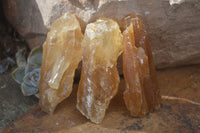 Natural Honey Aragonite Etched & Cobbed Pieces  x 12 From Namibia