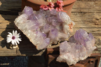 Natural Small Jacaranda Amethyst Quartz Vug Clusters  x 2 From Mumbwa, Zambia - TopRock