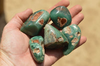 Polished Green Chrome / Emerald Chrysoprase Free Form Palm Stones   x 20 From Zimbabwe - TopRock