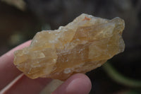 Natural Honey Aragonite Etched & Cobbed Pieces  x 12 From Namibia