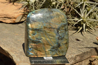 Polished Labradorite Standing Free Forms With Intense Blue & Gold Flash x 2 From Sakoany, Madagascar - TopRock