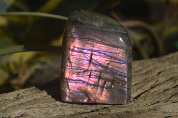 Polished Rare Purple Flash Labradorite Standing Free Forms x 4 From Tulear, Madagascar