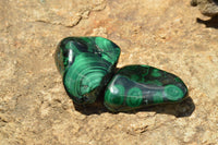 Polished Malachite Free Forms With Stunning Flower & Banding Patterns x 6 From Congo - TopRock