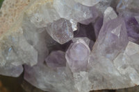 Natural Jacaranda Amethyst Cluster  x 1 From Zambia - Toprock Gemstones and Minerals 