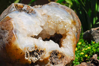 Polished Extra Large Crystal Cantered Agate Geode x 1 From Madagascar