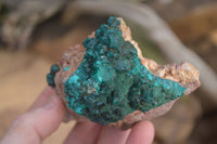 Natural Classic Emerald Dioptase Crystal Specimens  x 2 From Likasi, Congo