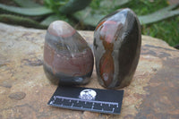 Polished Polychrome Jasper Standing Free Forms  x 4 From Mahajanga, Madagascar