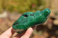 Polished Malachite Free Forms With Stunning Flower & Banding Patterns x 6 From Congo - TopRock