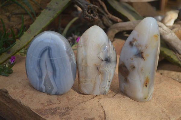 Polished Agate Standing Free Forms x 3 From Madagascar