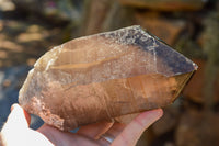 Natural Smokey Quartz Crystal With Natural Sides  x 2 From Mt. Mulanje, Malawi - TopRock