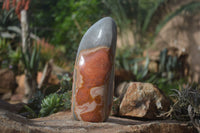 Polished Large Polychrome Jasper Standing Free Form  x 1 From Madagascar