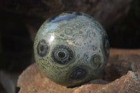 Polished Stromatolite / Kambamba Jasper Spheres  x 3 From Mahajanga, Madagascar - Toprock Gemstones and Minerals 