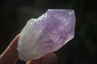 Natural Single Jacaranda Amethyst Crystals  x 12 From Mumbwe, Zambia - Toprock Gemstones and Minerals 